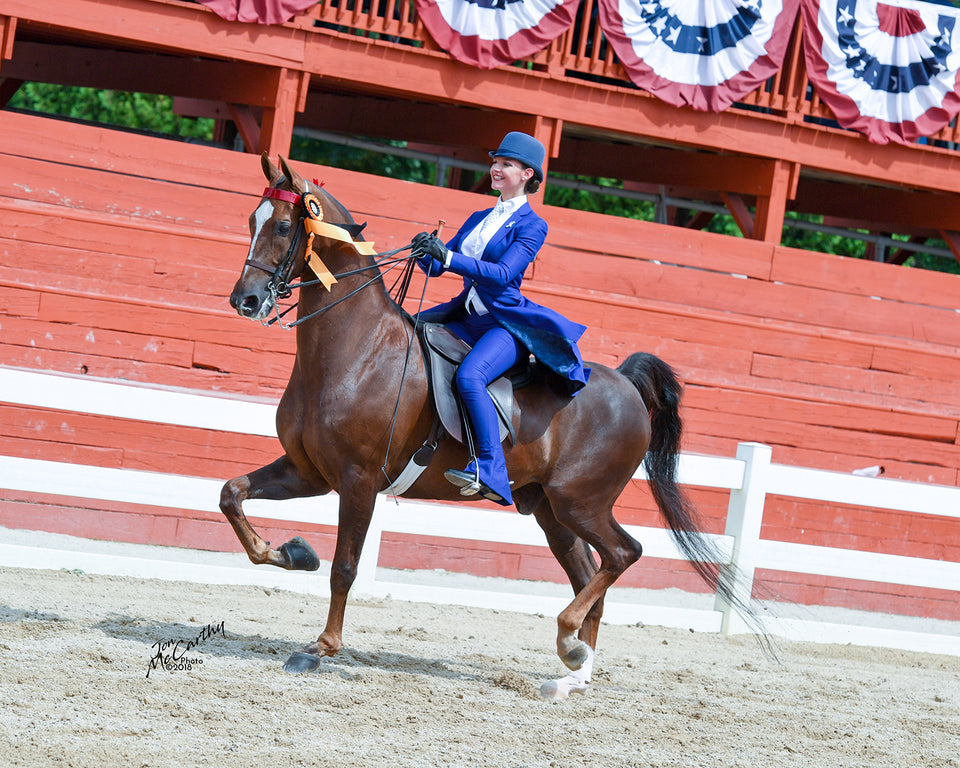 Pleasure Ride Class Pattern